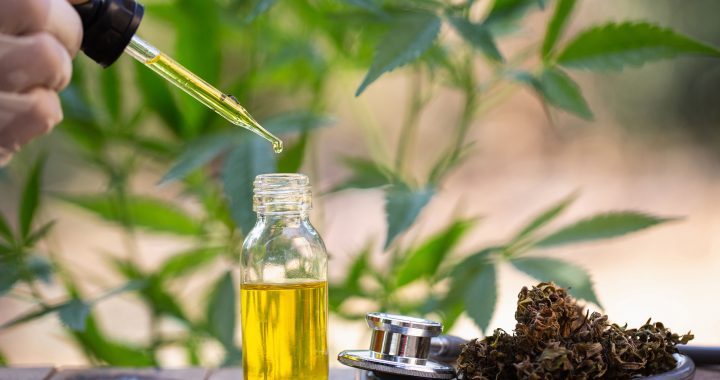 ES LEGAL EL AUTOCULTIVO DE CANNABIS MEDICINAL Y LA VENTA EN FARMACIAS DE SUS ACEITES