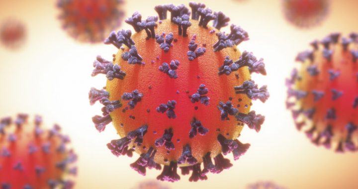 ACTUALIZACIÓN EPIDEMIOLOGICA EN SAN JOSÉ DEL RINCÓN