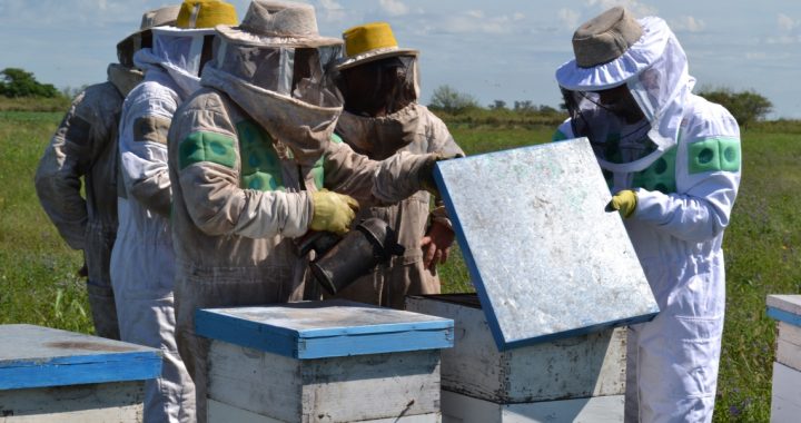 LA PROVINCIA FOMENTA HERRAMIENTAS FINANCIERAS PARA FORTALECER LA PRODUCCIÓN APÍCOLA SANTAFESINA