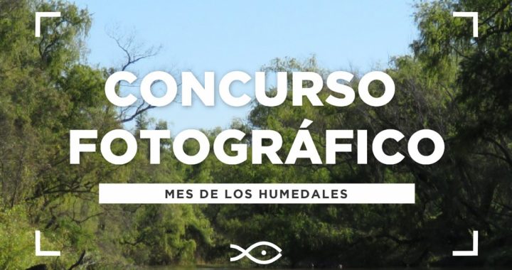 EL ACUARIO DEL RÍO PARANÁ CONVOCA AL CONCURSO FOTOGRÁFICO: “RETRATOS DEL HUMEDAL”