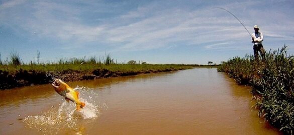 LA PESCA DESDE LA COSTA Y EMBARCADOS, Y LAS ACTIVIDADES DE LAS GUARDERÍAS NÁUTICAS ESTÁN PERMITIDAS. TURISMO