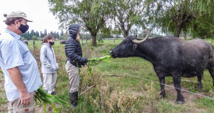 LA ESCUELA GRANJA DE LA UNL COMENZÓ EL CICLO LECTIVO 2021