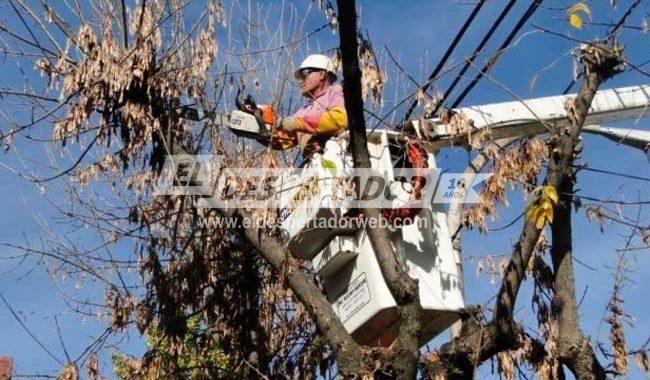 MIÉRCOLES 23 DE JUNIO, CORTE DE ENERGÍA PARA LOS ZAPALLOS Y ARROYO LEYES