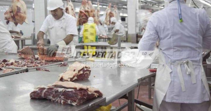 EL CONSUMO DE CARNE VACUNA EN LA ARGENTINA ESTÁ EN EL NIVEL MÁS BAJO DE LA HISTORIA