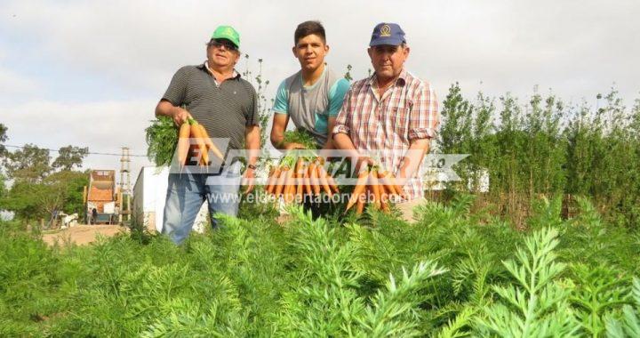 CALCHINES, LÍNEAS DE CRÉDITOS BLANDOS PARA EL SECTOR FRUTIHORTÍCOLA. SISTEMA DE RIEGO, INVERNADEROS, PROCESAMIENTO DE HORTALIZAS