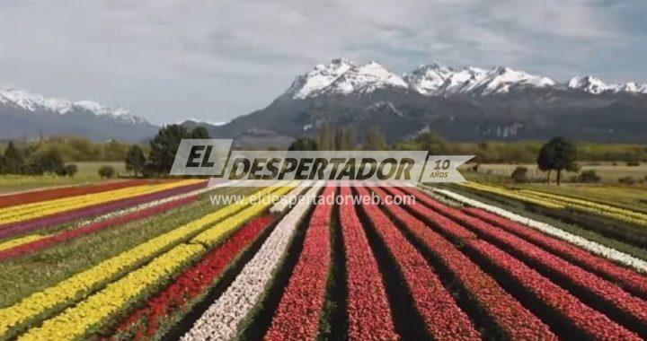 PRESENTARON UN DOCUMENTAL CON LAS «MARAVILLAS OCULTAS» DE LA ARGENTINA