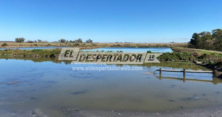 DETECTAN EL VIRUS DEL COVID EN AGUAS RESIDUALES DE SAN JUSTO