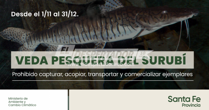 LA PROVINCIA RECUERDA QUE DESDE EL 1 DE NOVIEMBRE RIGE LA VEDA DE PESCA DEL SURUBÍ