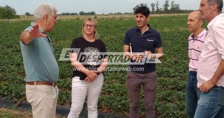 CALCHINES, EJEMPLO DE DESARROLLO Y EXPANSIÓN PRODUCTIVA. CONTINUIDAD EN EL TIEMPO Y POLÍTICAS DE ESTADO. EMPRESA AGRISUR