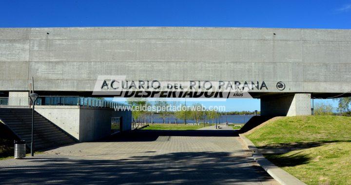 EXPLORÁ LOS HUMEDALES: SE INAUGURA UNA NUEVA MUESTRA FOTOGRÁFICA EN EL ACUARIO DEL RÍO PARANÁ