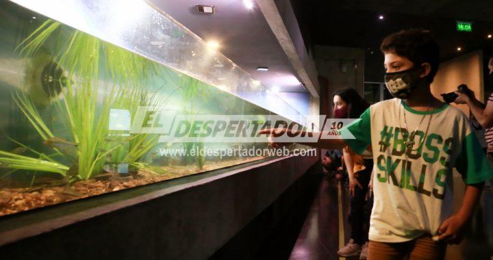 EL ACUARIO DEL RÍO PARANÁ TENDRÁ UN VERANO CON APERTURA DE MARTES A DOMINGOS CON VISITAS LIBRES Y ACOMPAÑADAS