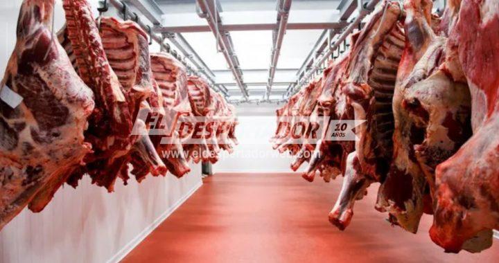 LIMITAN LAS EXPORTACIONES DE ALGUNOS CORTES DE CARNE HASTA 2023