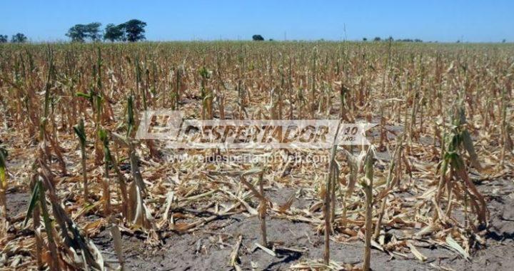 DECLARARON LA EMERGENCIA AGROPECUARIA