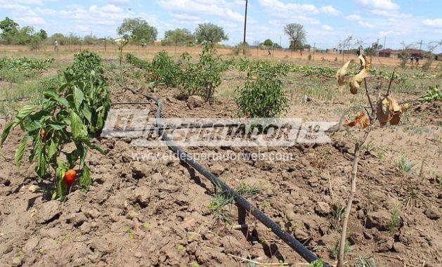 EL CORDÓN FRUTIHORTÍCOLA DE LA COSTA, ESTÁ ALCANZADO POR LA EMERGENCIA AGROPECUARIA