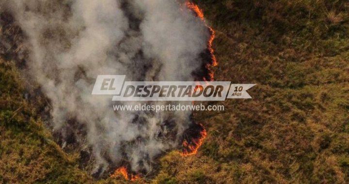 INCENDIOS EN CORRIENTES: LA UNL IMPULSA ACCIONES SOLIDARIAS