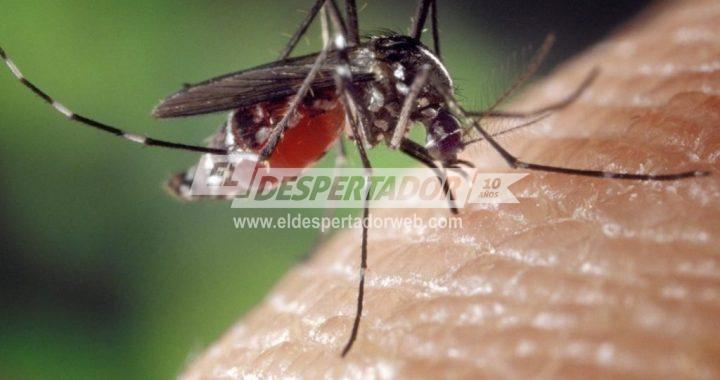 NUEVA MUTACIÓN EN EL VIRUS DEL ZIKA QUE PODRÍA HACERLO MÁS PELIGROSO