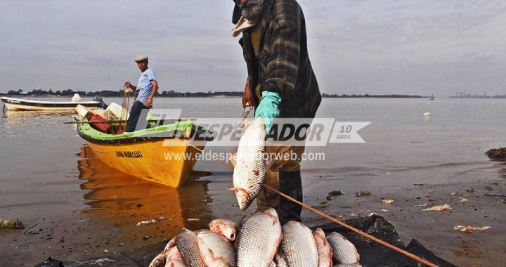 LOS FRIGORÍFICOS BAJARON EL PRECIO AL PESCADO Y PESCADORES ANUNCIAN MEDIDAS DE FUERZA