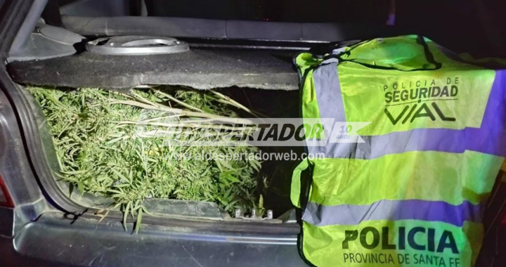 RUTA 1: LLEVABAN 5 RAMAS DE MARIHUANA EN EL BAÚL DE UN AUTO