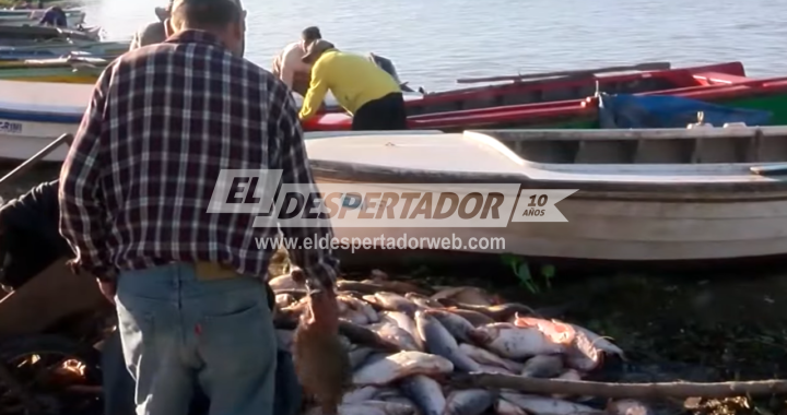 TIRARON 17 MIL KILOS DE PESCADO EN PUERTO GABOTO POR UNA PROTESTA