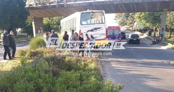 COLECTIVO SIN FRENOS QUEDÓ SOBRE EL CANTERO CENTRAL DE BULEVAR