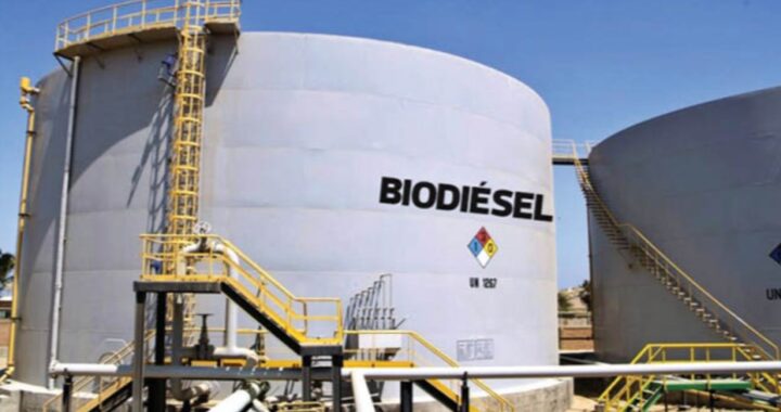 ESCASEZ DE GASOIL: EL GOBIERNO NACIONAL AUMENTARÁ EL CORTE DE BIODIESEL