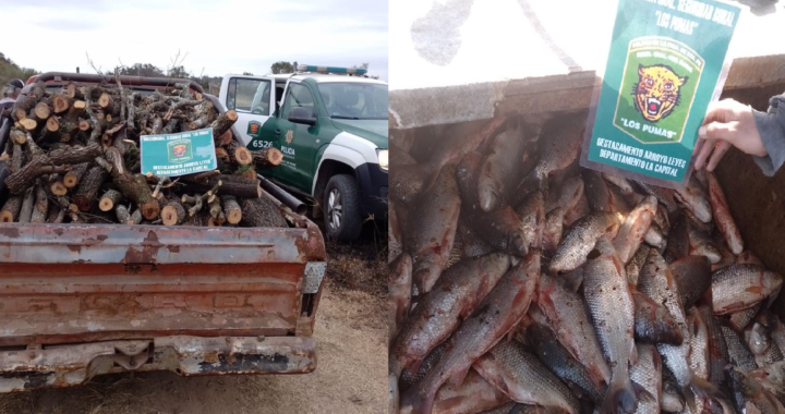 DECOMISO DE PESCADO Y LEÑA EN ARROYO LEYES