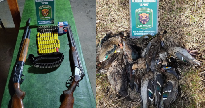 SECUESTRO DE ARMAS Y DECOMISO DE PATOS EN DOS PROCEDIMIENTOS EN ZONA DE ISLAS 