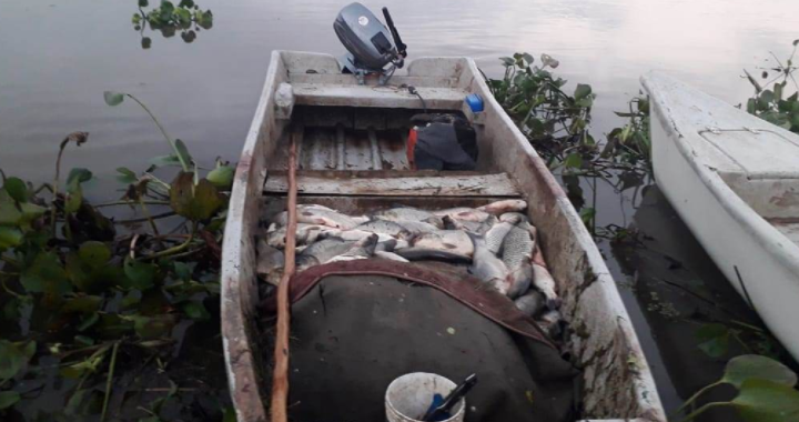 LOS PUMAS DECOMISAN PESCADO EN ARROYO LEYES