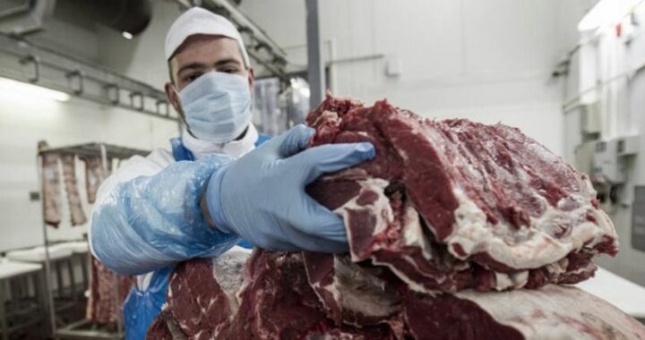 CARNE: CUÁLES Y CUÁNTO SALEN LOS SIETE CORTES QUE ALCANZA EL PROGRAMA