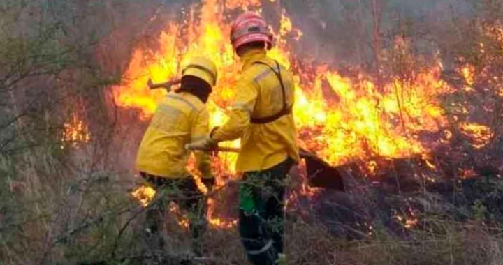 ANUNCIARON UN FUERTE AUMENTO PRESUPUESTARIO NACIONAL PARA COMBATIR INCENDIOS 