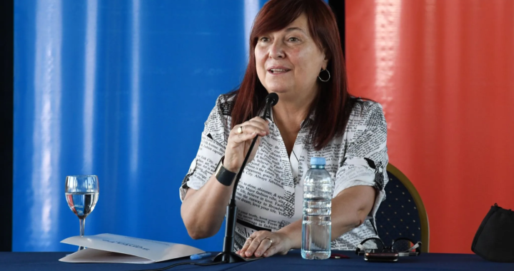 AUTONOMÍA MUNICIPAL: LA MINISTRA DE GOBIERNO PRESENTÓ EL PROYECTO