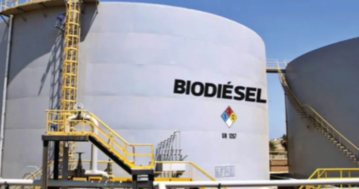 EL GOBIERNO PRORROGÓ EL CORTE DE 12,5 POR CIENTO DEL BIODIESEL