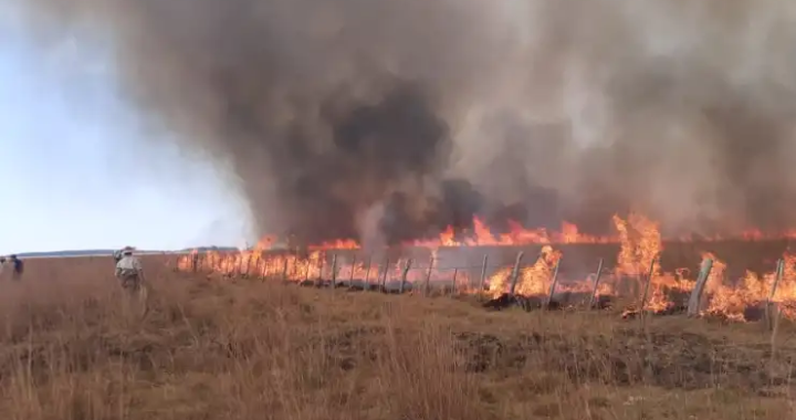 LIBERARON A TODOS LOS DETENIDOS POR LOS INCENDIOS EN LAS ISLAS