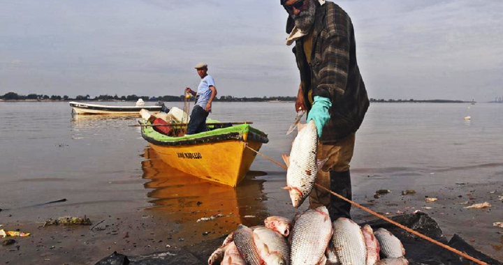 DEBERÁN REEMPADRONARSE LOS PESCADORES QUE QUIERAN CONTINUAR EN EL PROGRAMA POTENCIAR TRABAJO