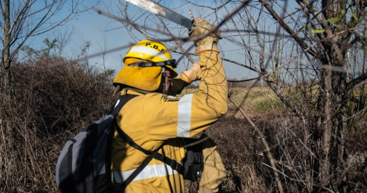 AMBIENTE DENUNCIARÁ A LOS DUEÑOS DE LOS PREDIOS DONDE SE INICIARON LOS INCENDIOS DEL DELTA