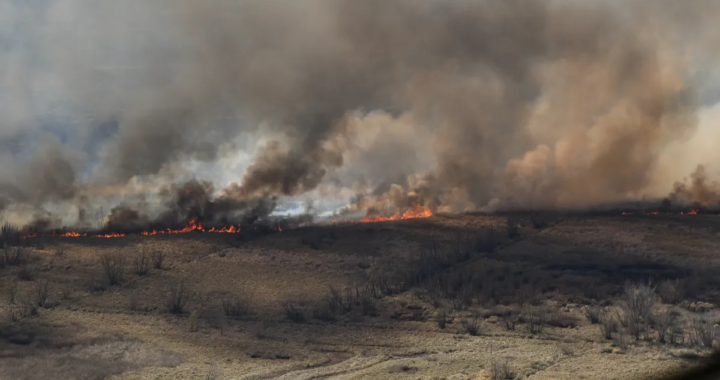 POR LOS INCENDIOS, LAS FUERZAS ARMADAS REALIZAN TAREAS DE APOYO EN EL DELTA DEL PARANÁ