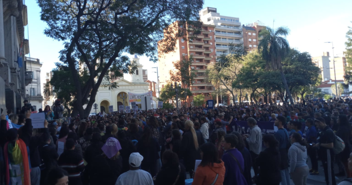 MULTITUDINARIA MANIFESTACIÓN EN TRIBUNALES EN PEDIDO DE JUSTICIA POR EL CRIMEN DE ALEJANDRA IRONICI