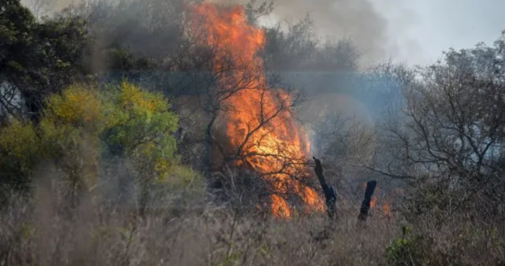 BOMBEROS COMBATIERON EL FUEGO EN ZONA COSTERA CERCA DE LA GUARDIA