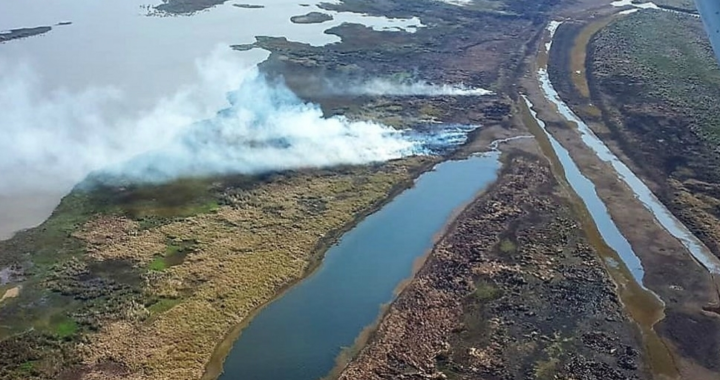 QUEMAS EN EL DELTA: EN EL AÑO VAN 10 MIL FOCOS Y 130 MIL HECTÁREAS AFECTADAS