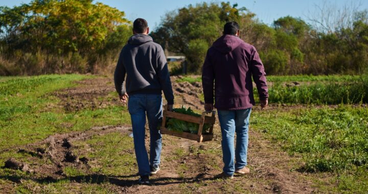 SE PRORROGÓ HASTA EL 2 DE OCTUBRE LA INSCRIPCIÓN AL PROGRAMA MÓDULOS PRODUCTIVOS DE LA AGRICULTURA FAMILIAR