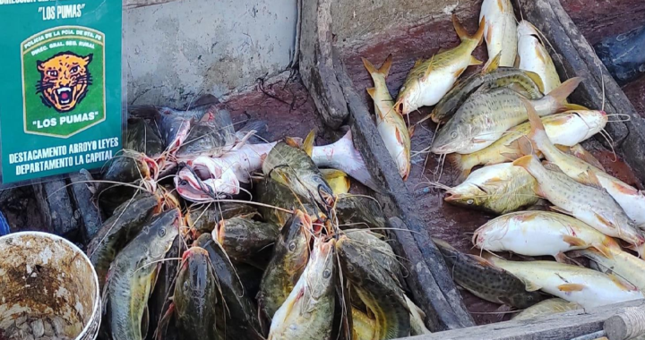 DECOMISAN PESCADO EN ARROYO LEYES Y LABRAN ACTAS DE INFRACCIÓN 