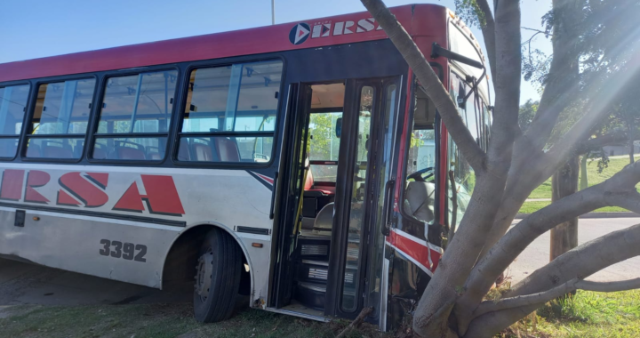 UN COLECTIVO DE LA ERSA TERMINÓ IMPACTANDO CONTRA UN ÁRBOL POR UN DESPERFECTO