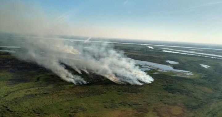 ENTRE RÍOS GESTIONARÁ QUE LAS ISLAS DEL DELTA SEAN UN ÁREA NATURAL PROTEGIDA