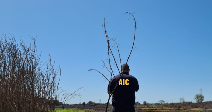 LA AIC RELEVA EL EPICENTRO DE LOS INCENDIOS  LINDETOS AL TUNEL Y RUTA 168