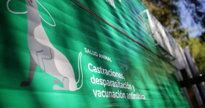 CASTRACIÓN GRATUITA DE MASCOTAS EN COLASTINÉ NORTE