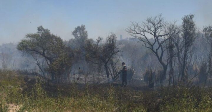 UN INCENDIO SE PRODUJO EN UN SECTOR DE LA RUTA 168, CERCANO A UN HIPERMERCADO