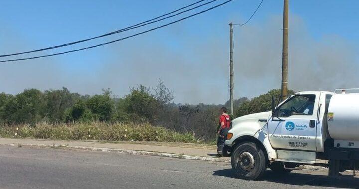 LA MUNICIPALIDAD PRESENTÓ UNA DENUNCIA ANTE EL MPA PARA QUE INVESTIGUE LAS QUEMAS EN LAS ISLAS