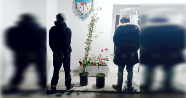 INSÓLITO: DOS DETENIDOS POR ROBAR PLANTAS EN UN VIVERO DE COLASTINÉ NORTE