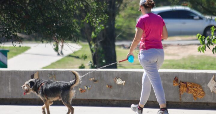 LA PROVINCIA BRINDÓ RECOMENDACIONES PARA PREVENIR GOLPES DE CALOR