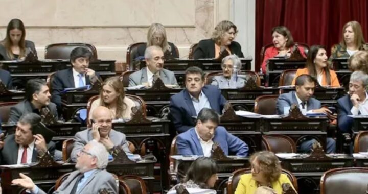 APRUEBAN EN DIPUTADOS EL PROYECTO QUE DECLARA INAMOVIBLE EL FERIADO DEL 17 DE AGOSTO